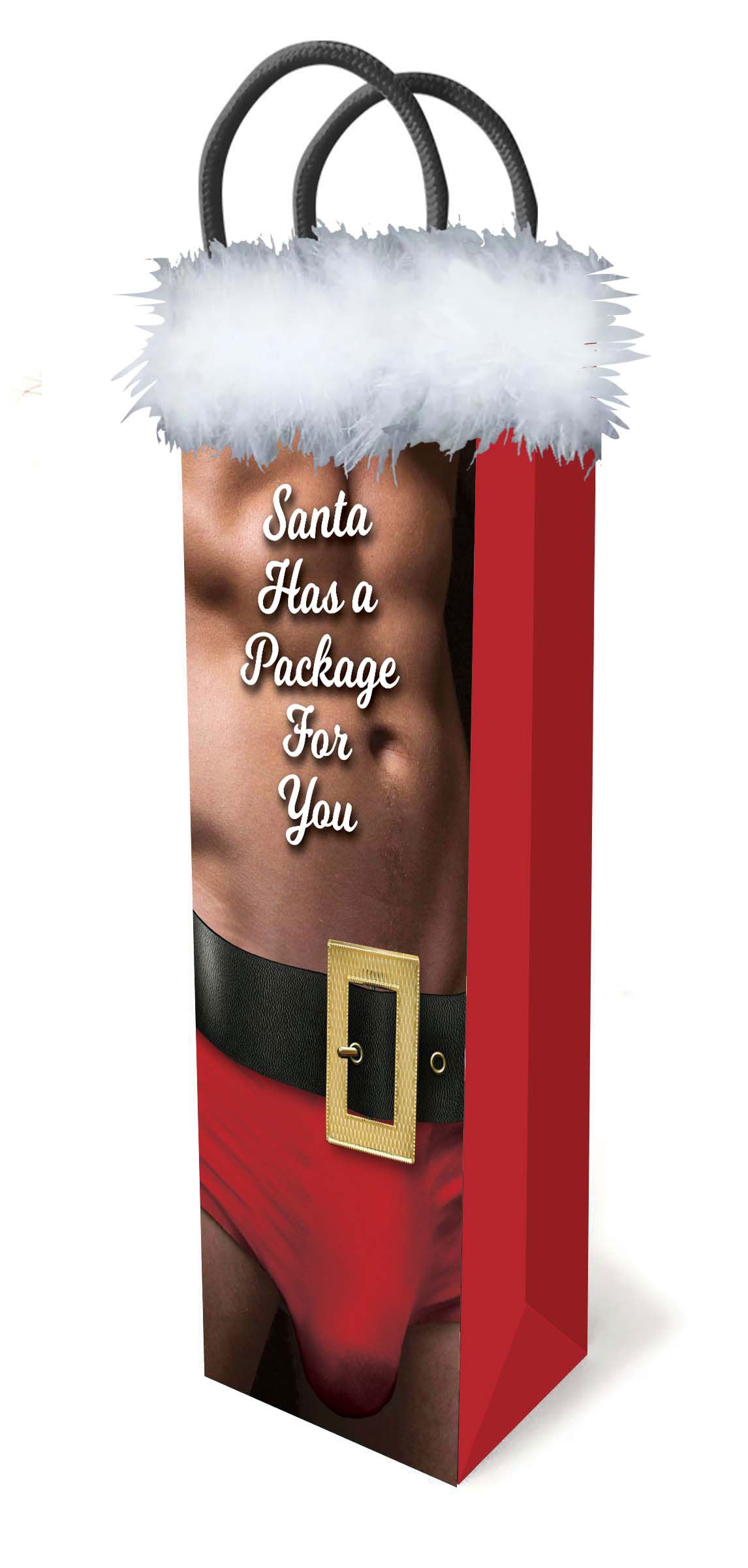 "Santa Has a Big Package for You LG-LGP025"