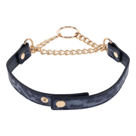 "Cougar Day Collar SS09974"